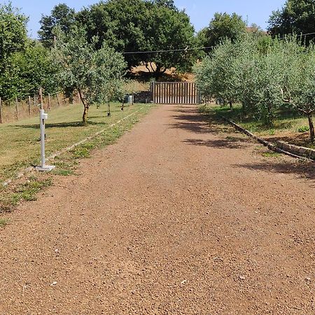 Il Melarancio B&B Monterosi ภายนอก รูปภาพ