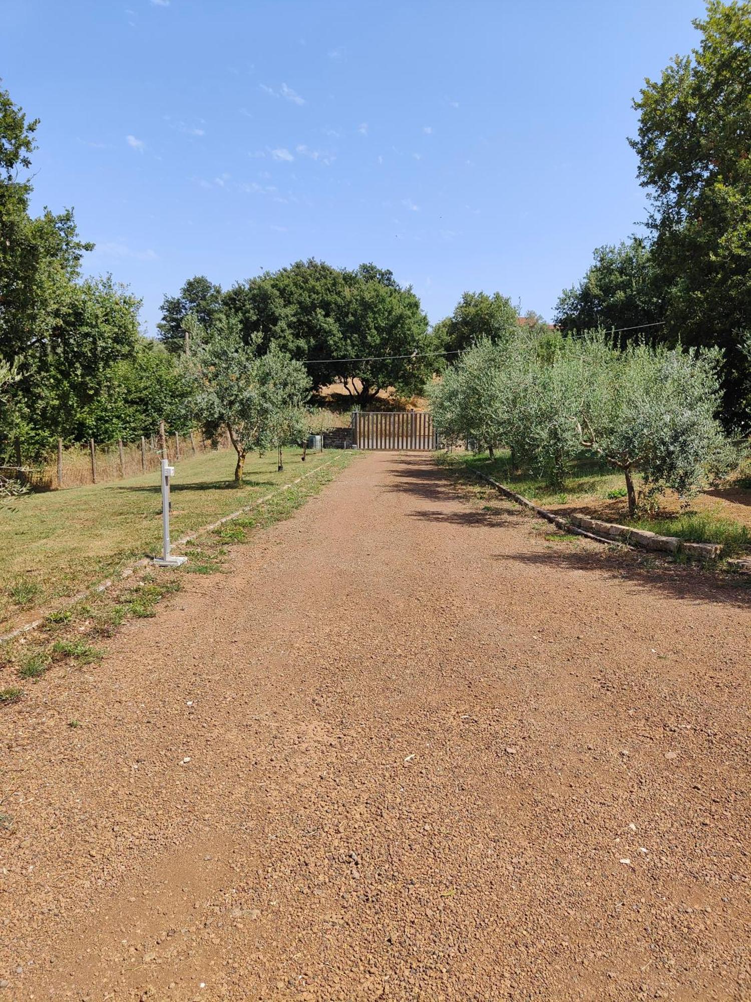 Il Melarancio B&B Monterosi ภายนอก รูปภาพ
